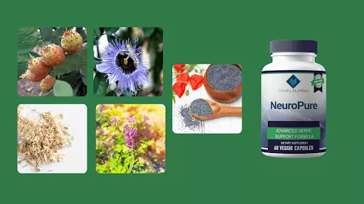 Neuropure Reviews Ingredients
