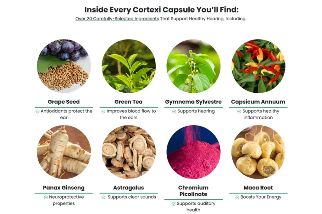 Cortexi Ingredients